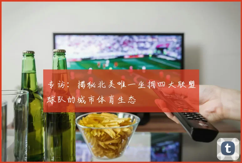 专访:揭秘北美唯一坐拥四大联盟球队的城市体育生态