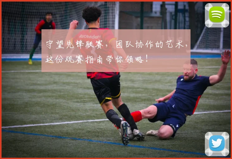 守望先锋联赛,团队协作的艺术,这份观赛指南带你领略!