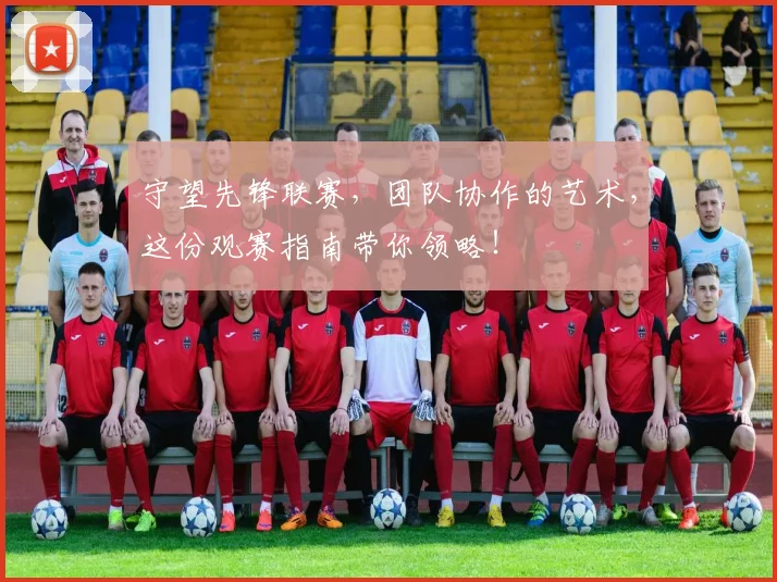 守望先锋联赛，团队协作的艺术，这份观赛指南带你领略！